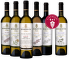 Vinobraní 5+1, Mikrosvín Mikulov