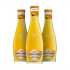 Sanpellegrino Aranciata 20cl - 24 ks - sklo - gastro