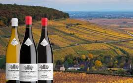 Maison Champy: Nejstarší vinařství v Burgundsku