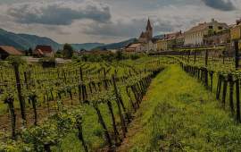 Festival rakouských vín v Global Wines & Spirits