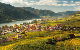Rakouská vína za akční ceny v Global Wines & Spirits