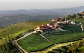 Odrůda Nebbiolo: klenot italských vín