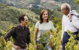 Španělské vinařství Torres