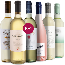 Fresh Marchesi Antinori, Itálie 5+1