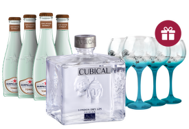 Gin&Tonic Fest: Cubical Premium + dárek