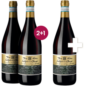 Montepulciano d'Abruzzo DOC "Terre Vecchie" 2+1