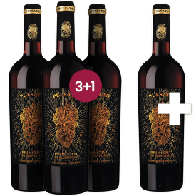 Pulsato Primitivo di Manduria 3+1