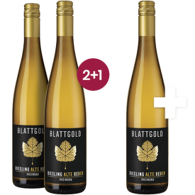 Riesling trocken Alte Reben Blattgold Rheingau 2+1