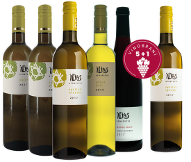 Vinobraní 5+1, Ilias, Pavlov
