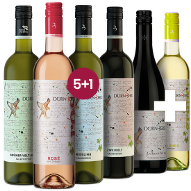 TOP Dürnberg, Rakousko 5+1