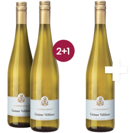 Schwanberg Grüner Veltliner Niederösterreich 2+1