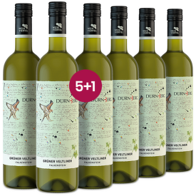 Grüner Veltliner Falkenstein DAC, Dürnberg 5+1 - gastro