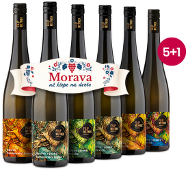 Mlýnkovy lahvinky 5+1