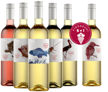 Vinobraní 5+1, Thaya, Havraníky