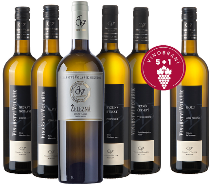 Vinobraní 5+1, Volařík, Mikulov
