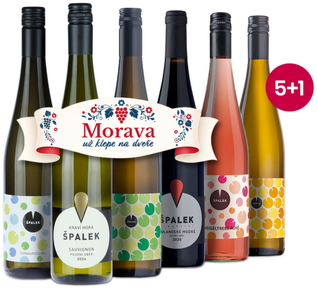 Špalkovy lahvinky 5+1