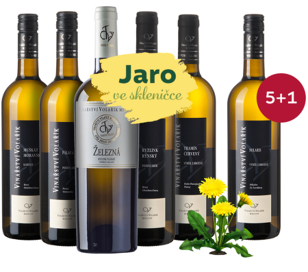 Jaro ve skleničce: Volařík 5+1