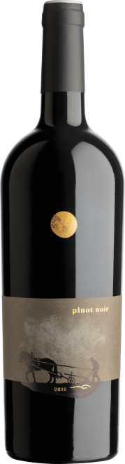Pinot Noir, Limitovaná edice, výběr z hroznů, Sedlák