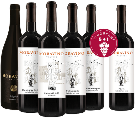 Vinobraní 5+1, Moravíno Valtice