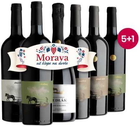 Sedlákovy lahvinky, edice Icone 5+1