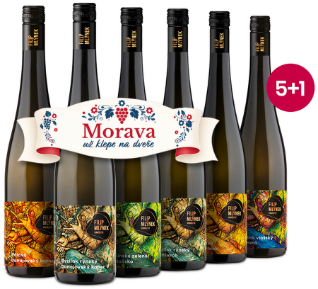 Mlýnkovy lahvinky 5+1