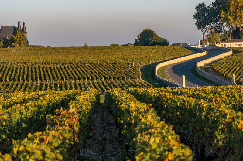 Château Latour-Martillac