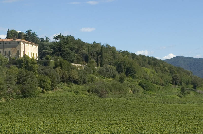 Marchese Antinori - Tenuta Montenisa