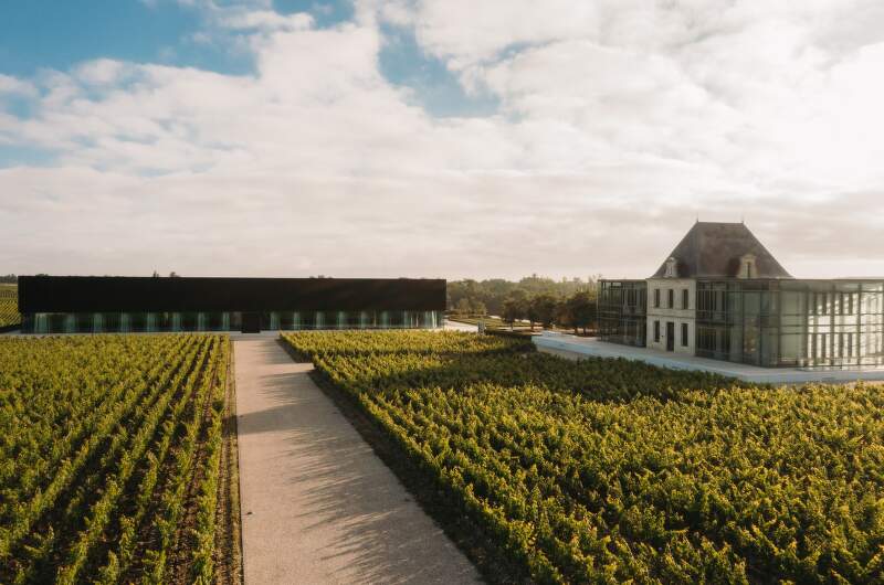 Château Pedesclaux