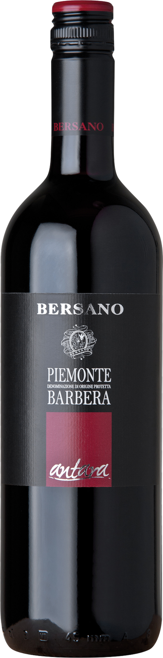 Barbera Piemonte DOC | E-shop Global Wines & Spirits