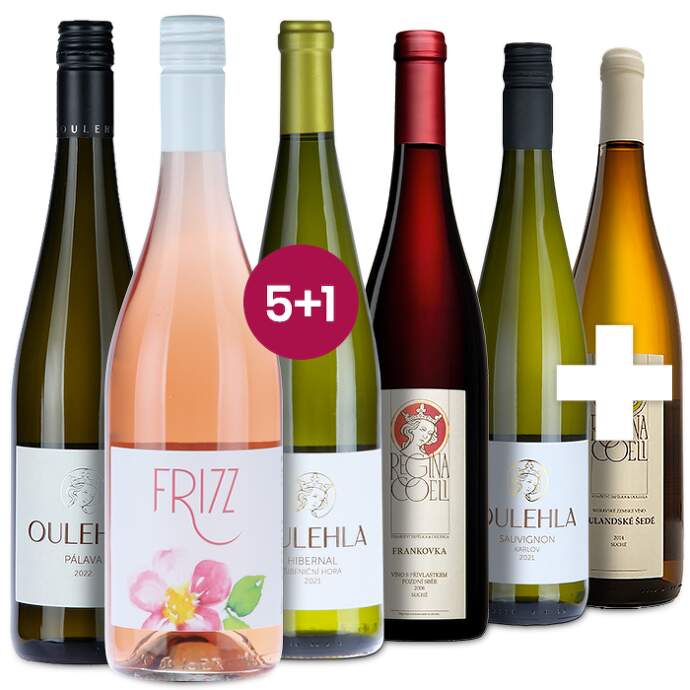 Oulehla_5+1_vinobraní_zari_2024_GW_Balicky_2024-oulehla