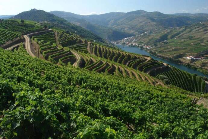 Douro - RCV