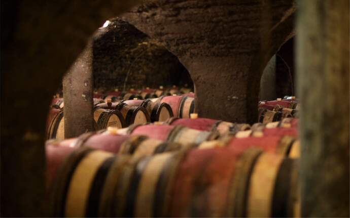 Maison Champy - cellar