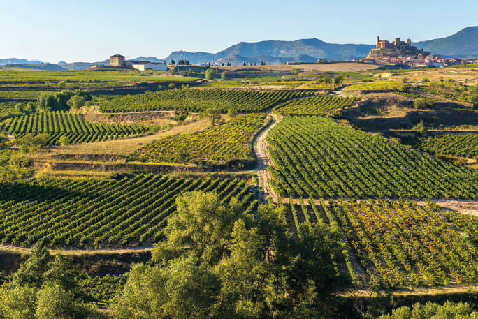 Vinice Torres v oblastech španělského Penedès